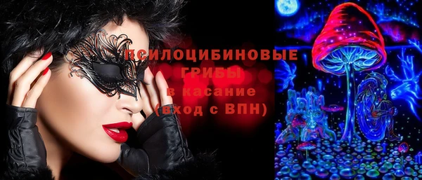не бодяженный Верхний Тагил