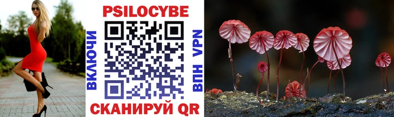 omg ссылки  купить наркотики сайты  Чита  Галлюциногенные грибы Psilocybine cubensis 